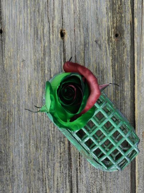  RED & GREEN TINTED ROSE